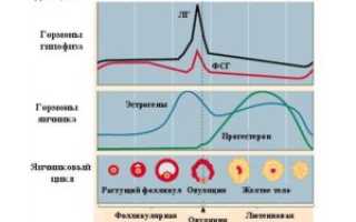 Сезонные перепады настроения и гормонов