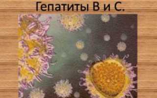 ЭКО и гепатит С