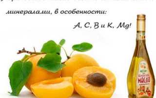 Абрикосовое масло свойства